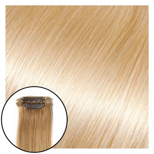 Babe Clip-In Hair Extensions #1001 Yvonne - 16"