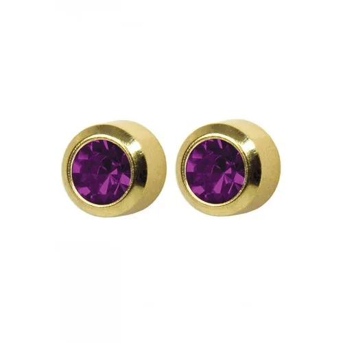 Retail Birthstone Febuary Reg Pr202y